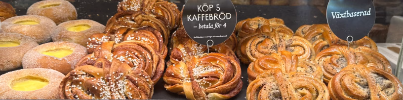 Chef Amalia Blog Header